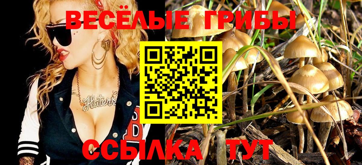 Мичуринск  Галлюциногенные грибы MAGIC MUSHROOMS  магазин  наркотиков  Вход с VPN  Галлюциногенные грибы GOLDEN TEACHER 