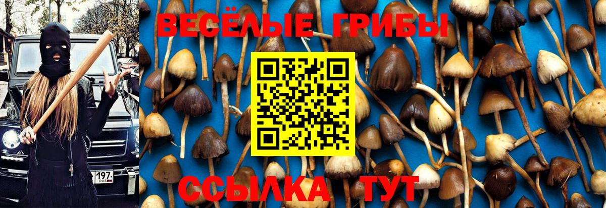 Галлюциногенные грибы мицелий Мичуринск